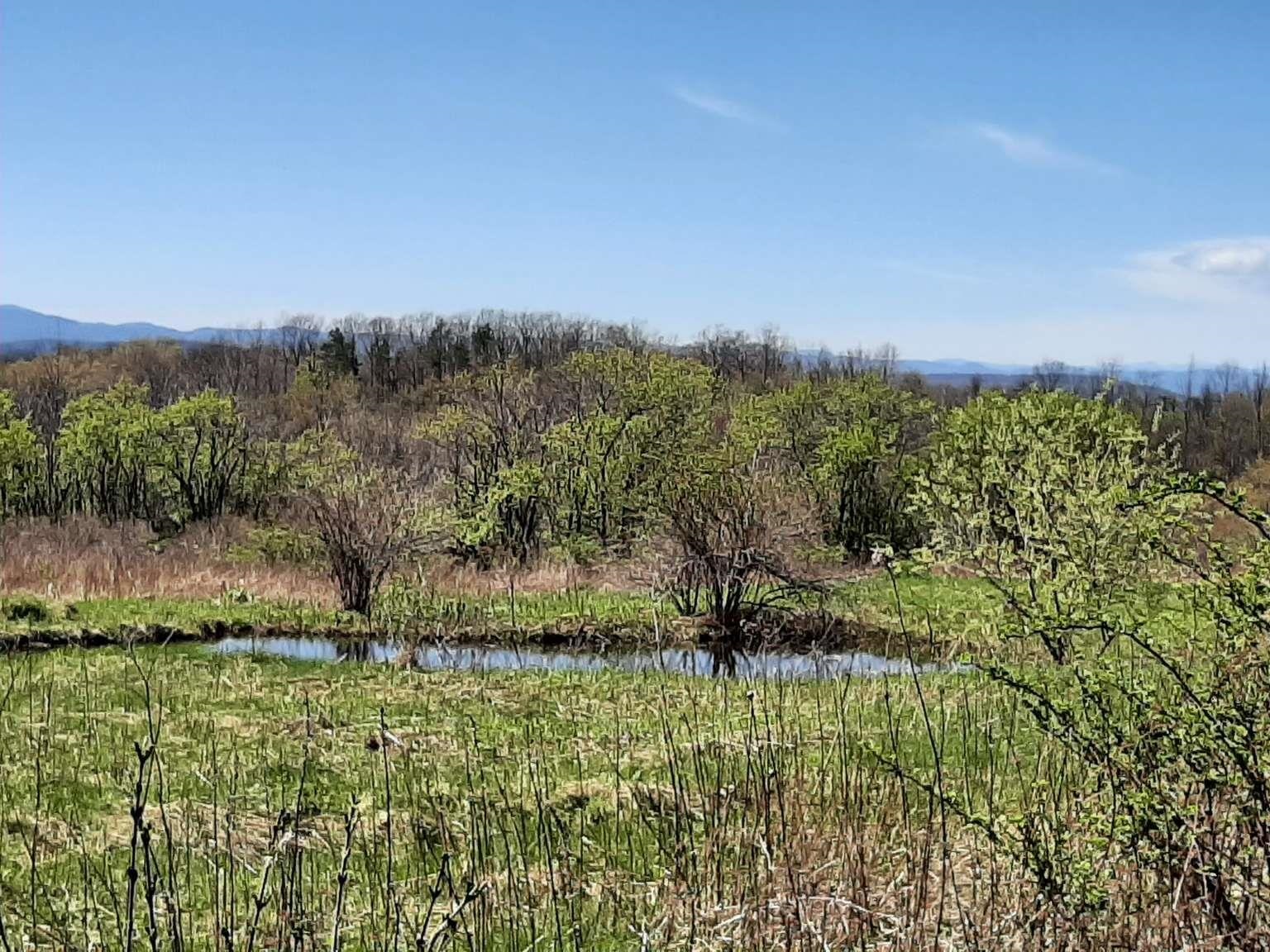 696 Applesauce Hill Road Castleton, VT 05735 - Photo 6 of 11