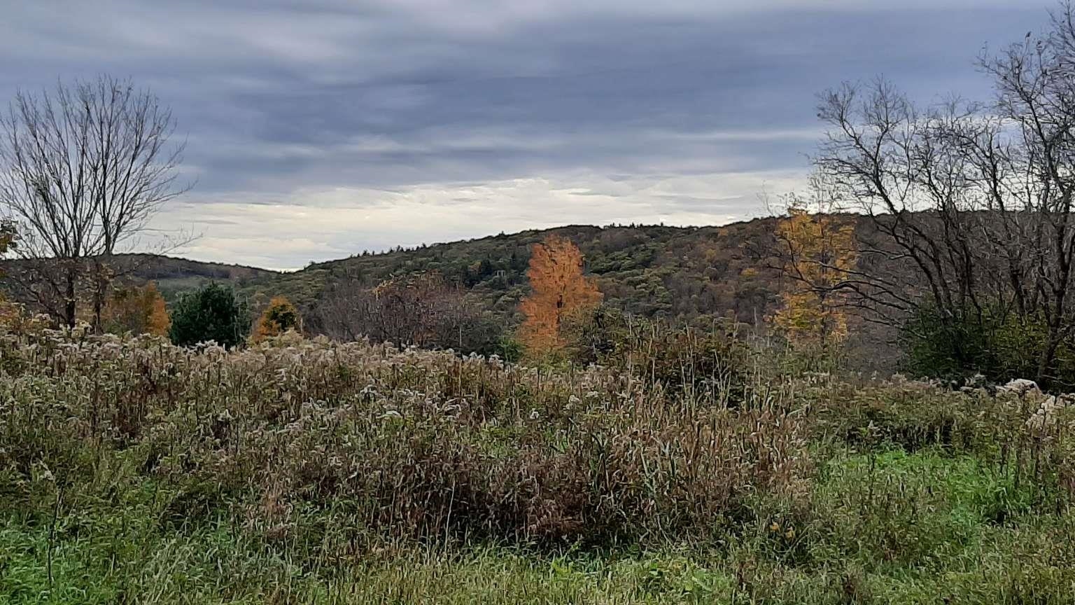 696 Applesauce Hill Road Castleton, VT 05735 - Photo 8 of 11