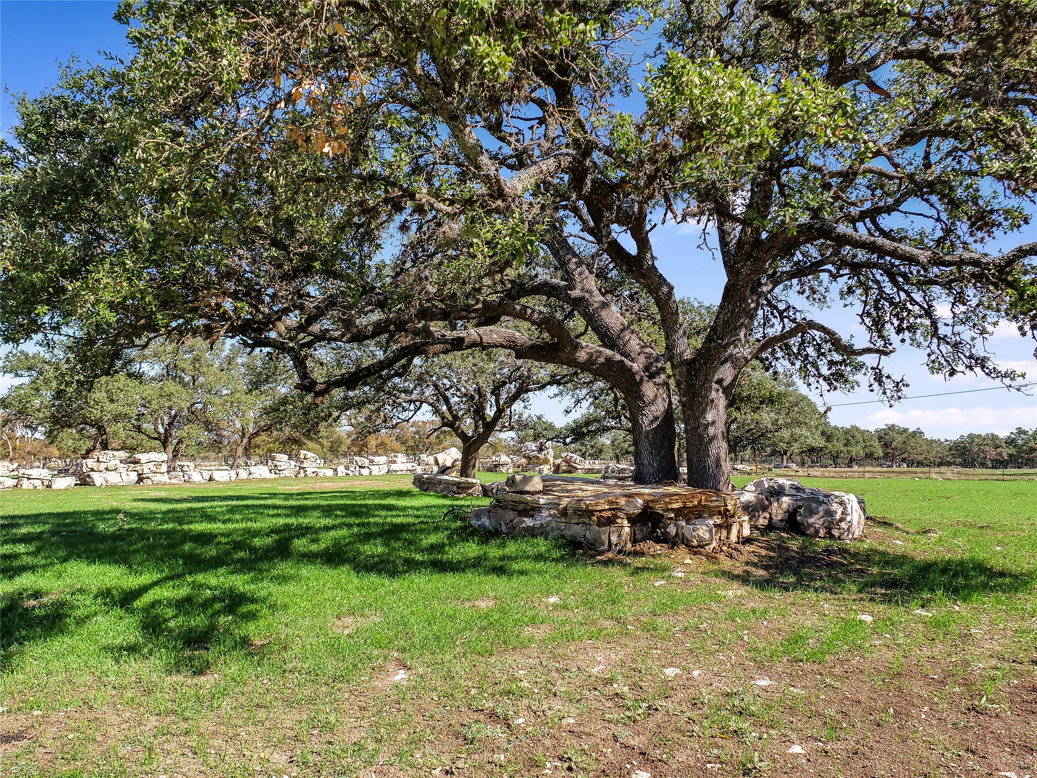 788 Clarence Jacoby Road Fredericksburg, TX 78624 - Photo 4 of 14 a view of backyard with green space