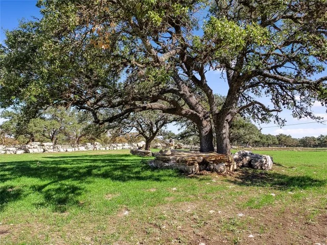 a view of backyard with green space