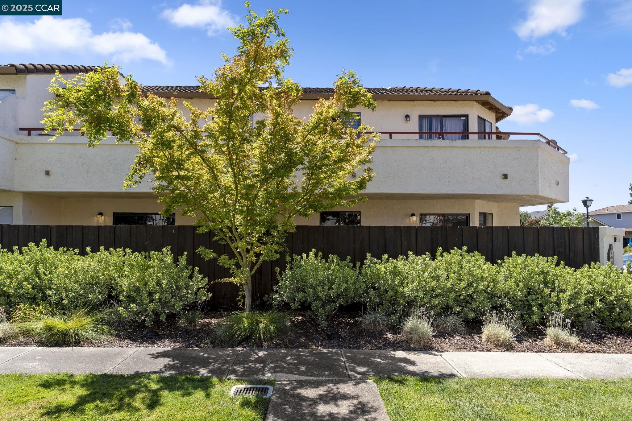 5050 Valley Crest Drive, Unit 63 Concord, CA 94521 - Photo 46 of 55 a view of a house with a yard and potted plants