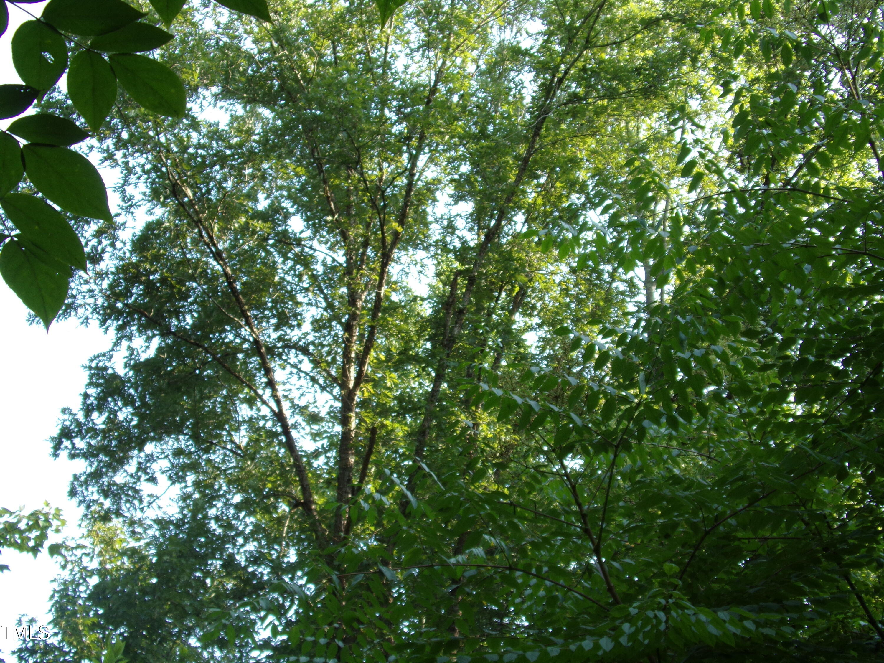 0 Anderson Road Zebulon, NC 27597 - Photo 5 of 5 100_0721