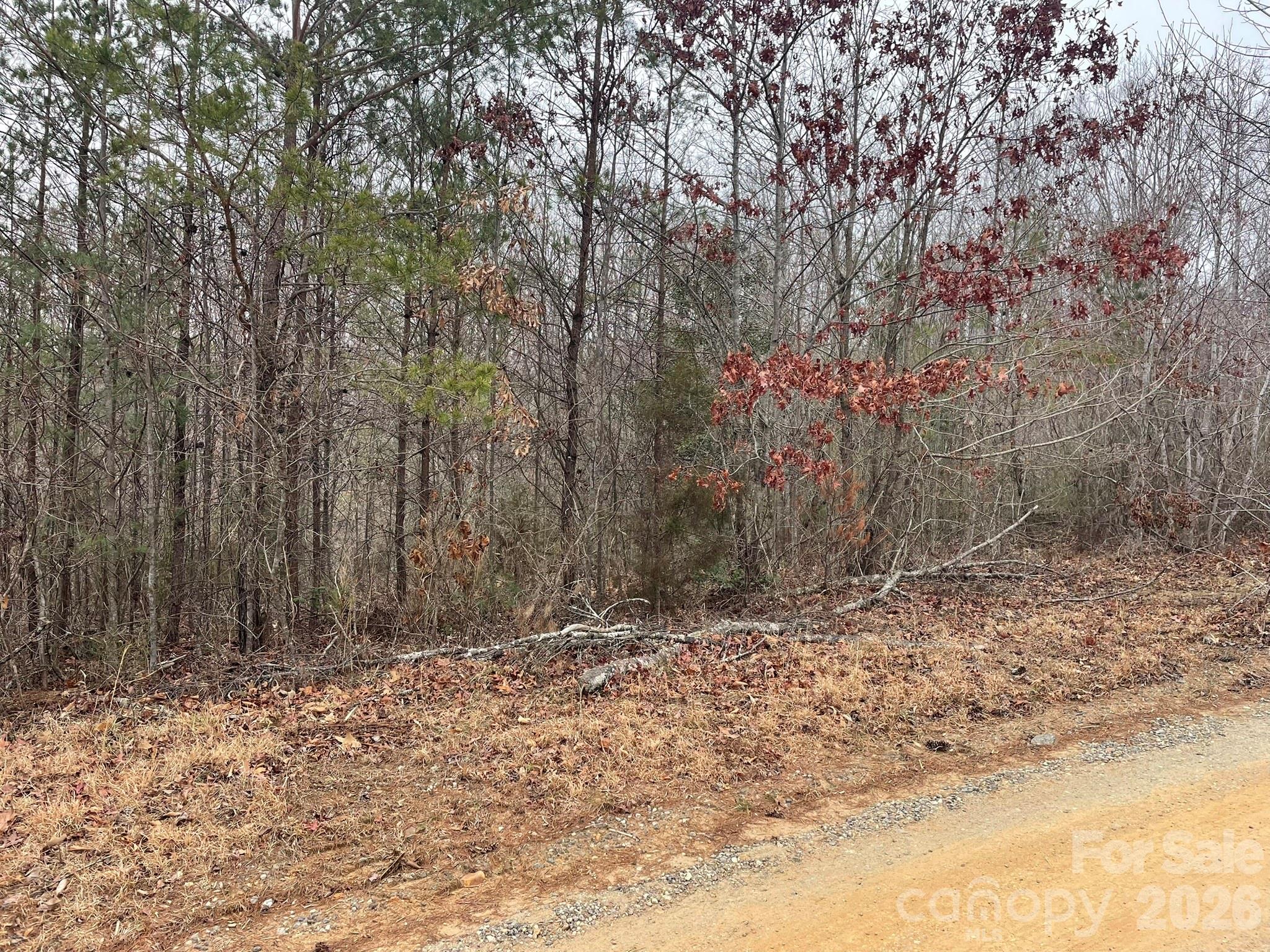 0 Jim McCall Road Morganton, NC 28655 - Photo 4 of 6 a view of a yard with large trees