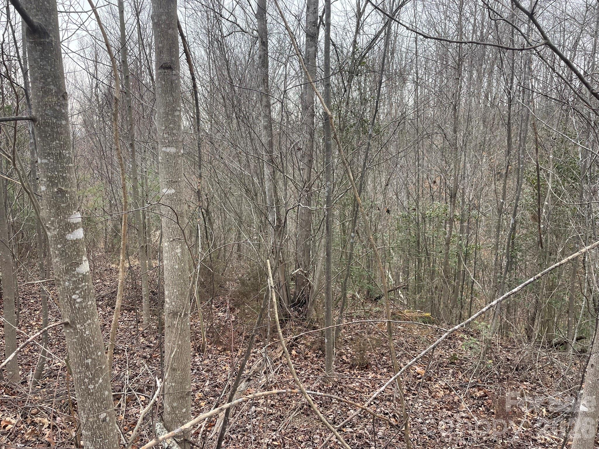 0 Jim McCall Road Morganton, NC 28655 - Photo 6 of 6 a view of a dry yard with wooden fence