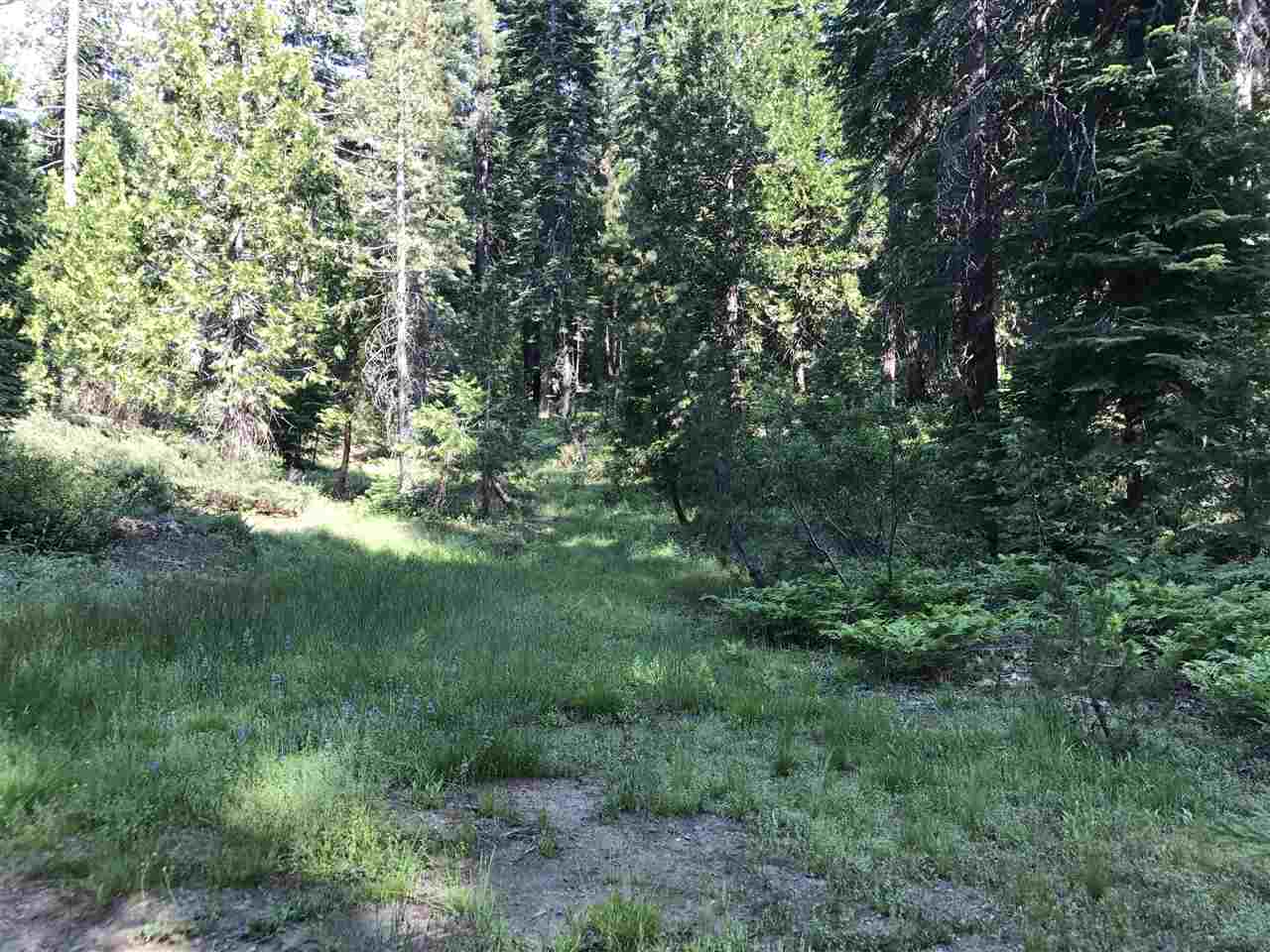 0 Cisco Road Soda Springs, CA 95728 - Photo 14 of 21