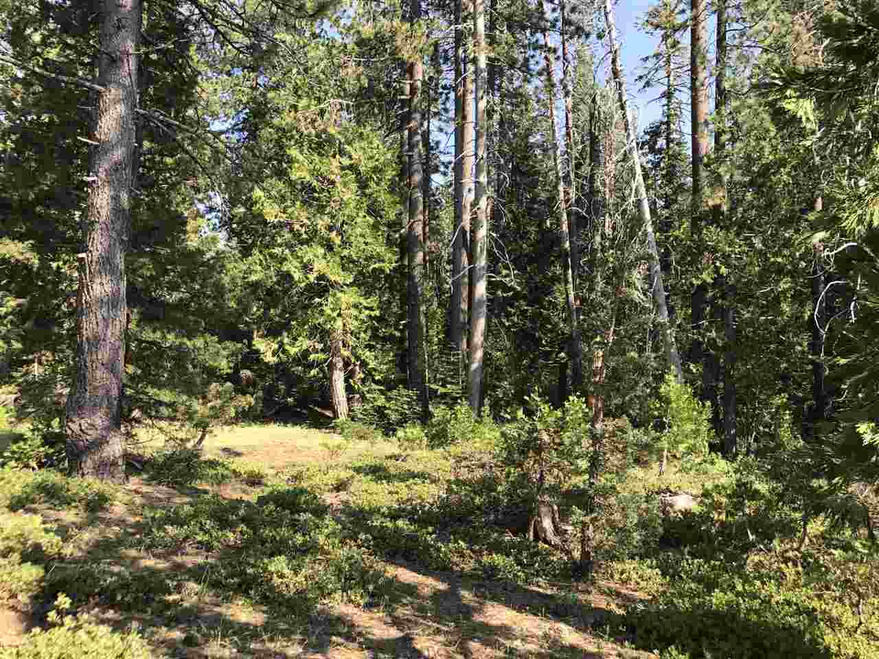 0 Cisco Road Soda Springs, CA 95728 - Photo 16 of 21