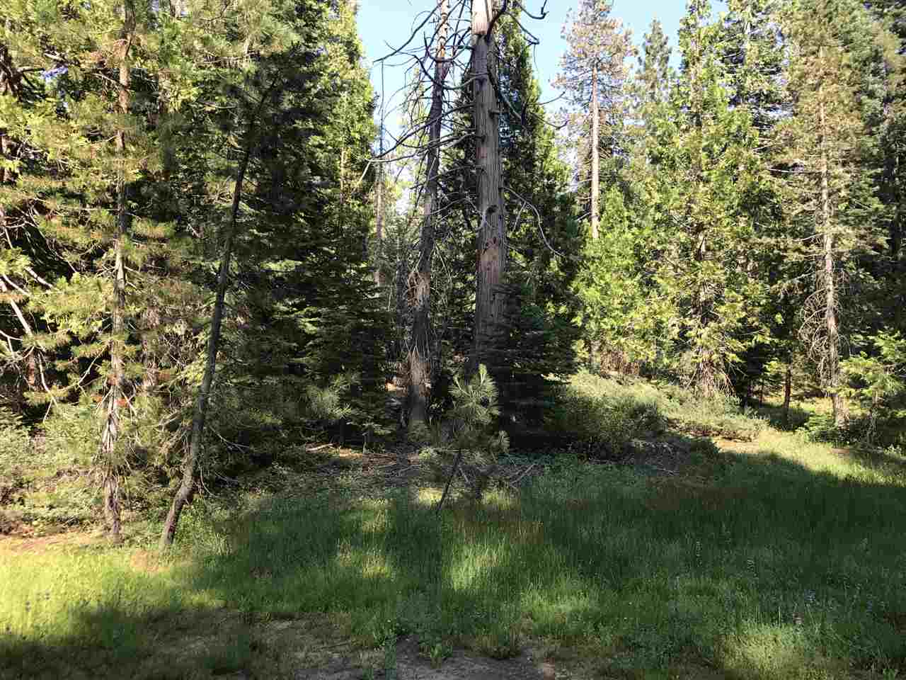 0 Cisco Road Soda Springs, CA 95728 - Photo 17 of 21