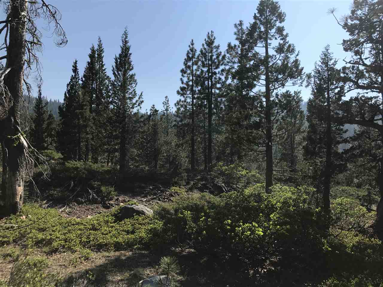 0 Cisco Road Soda Springs, CA 95728 - Photo 8 of 21