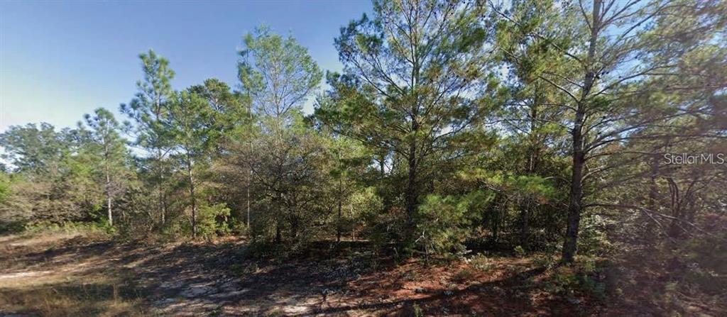 Colmart Drive Chipley, FL 32428 - Photo 2 of 3
