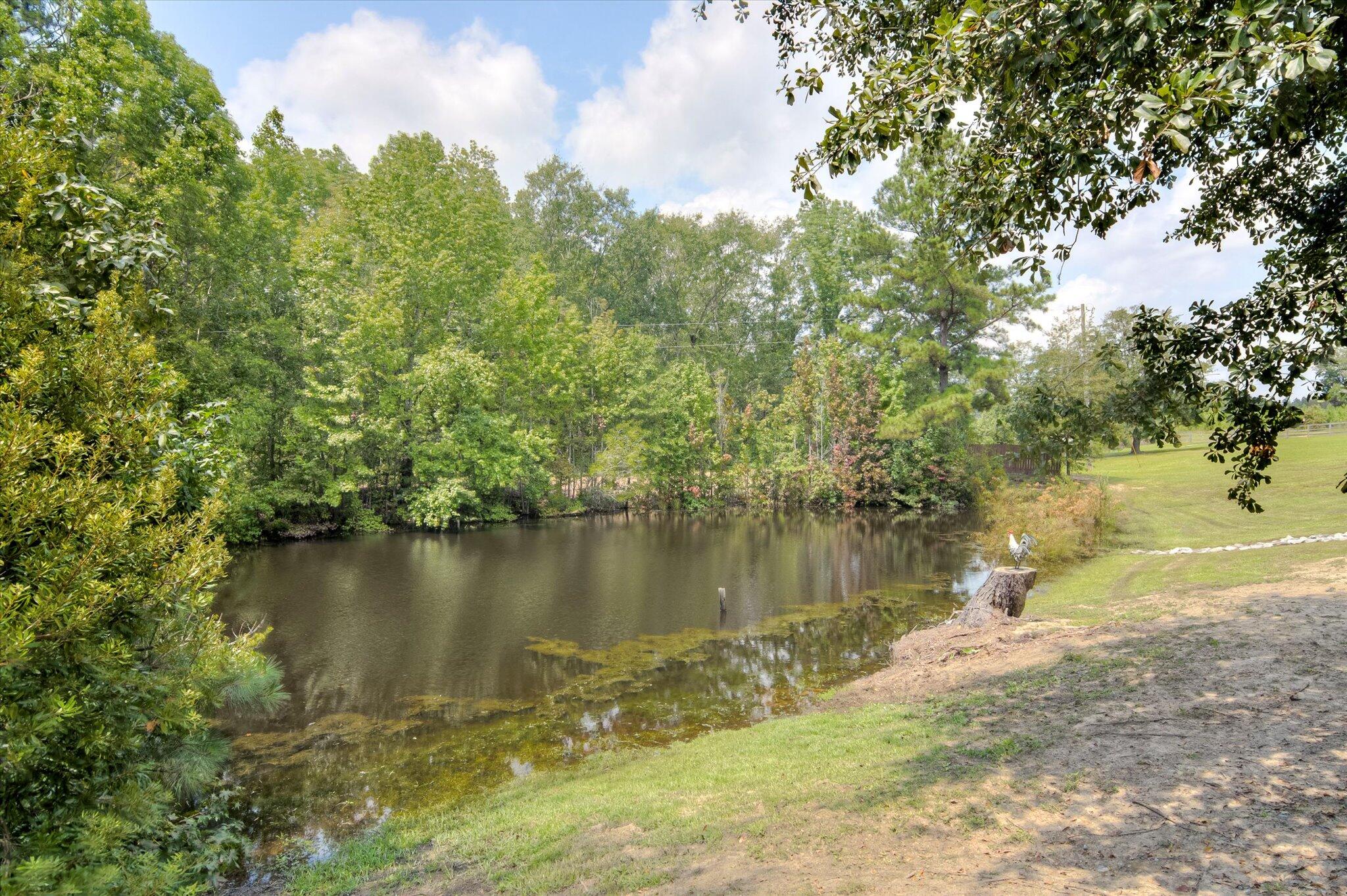 3368 Sand Hill Road Thomson, GA 30824 - Photo 47 of 49 50-050-