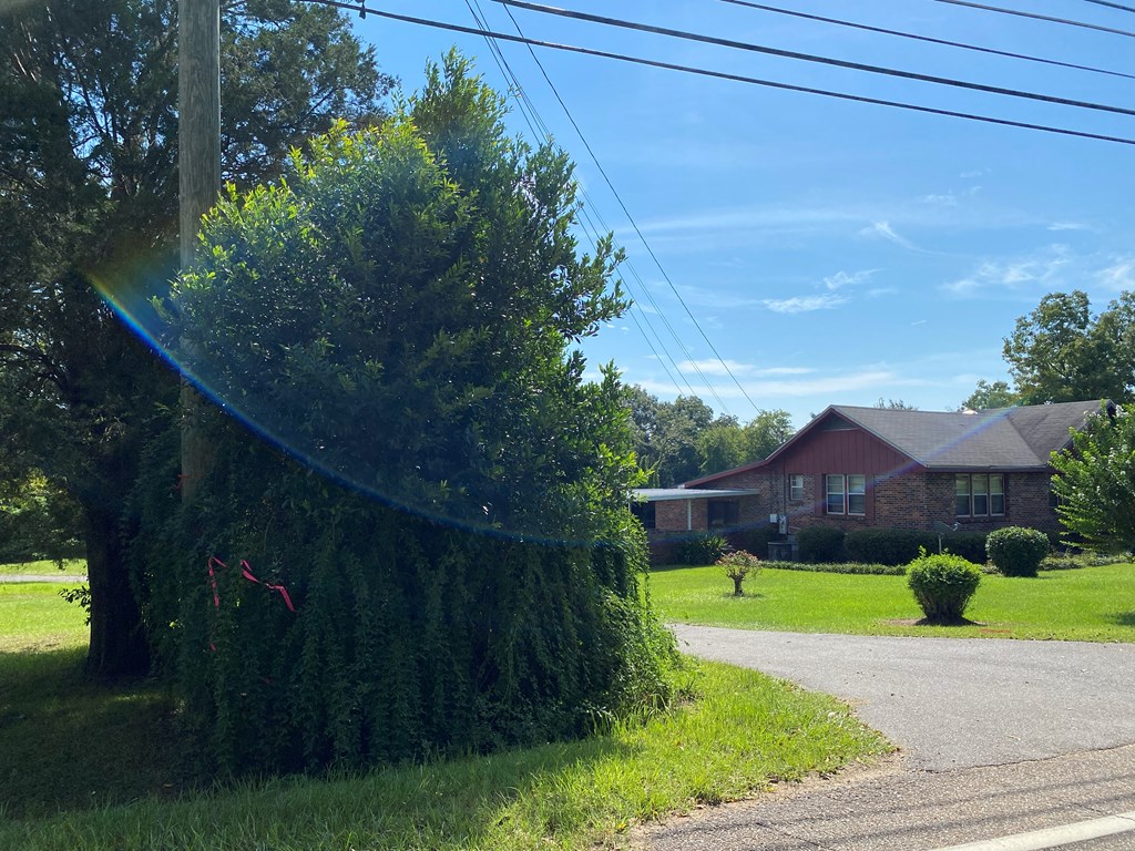 12.752-ac 12.752-ac Kinsey Rd/ Keel Road Dothan, AL 36301 - Photo 6 of 22