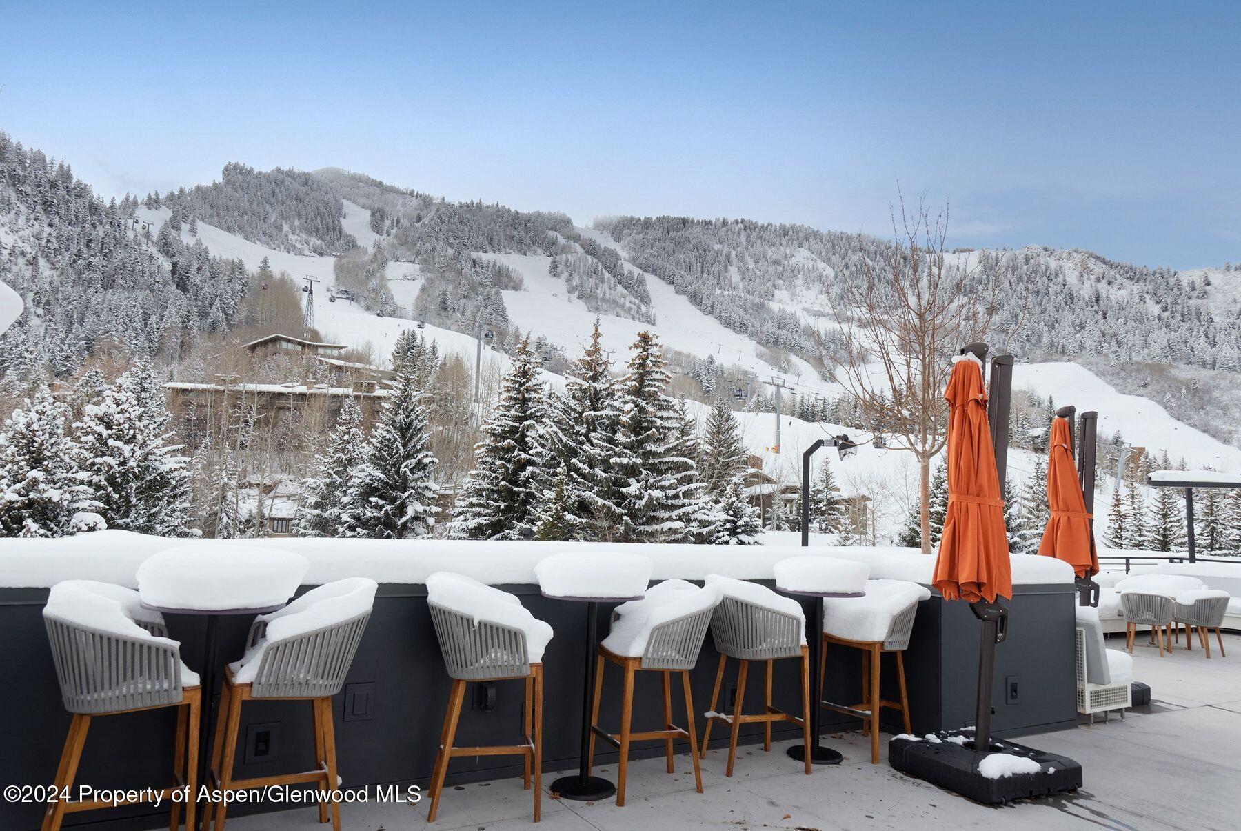 550 South Spring Street Aspen, CO 81611 - Photo 13 of 20