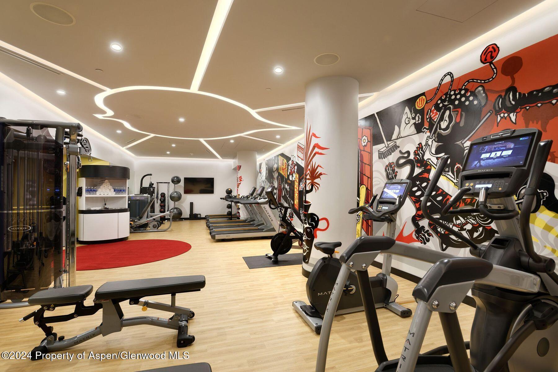 550 South Spring Street Aspen, CO 81611 - Photo 18 of 20 a room with gym equipment and air hockey table