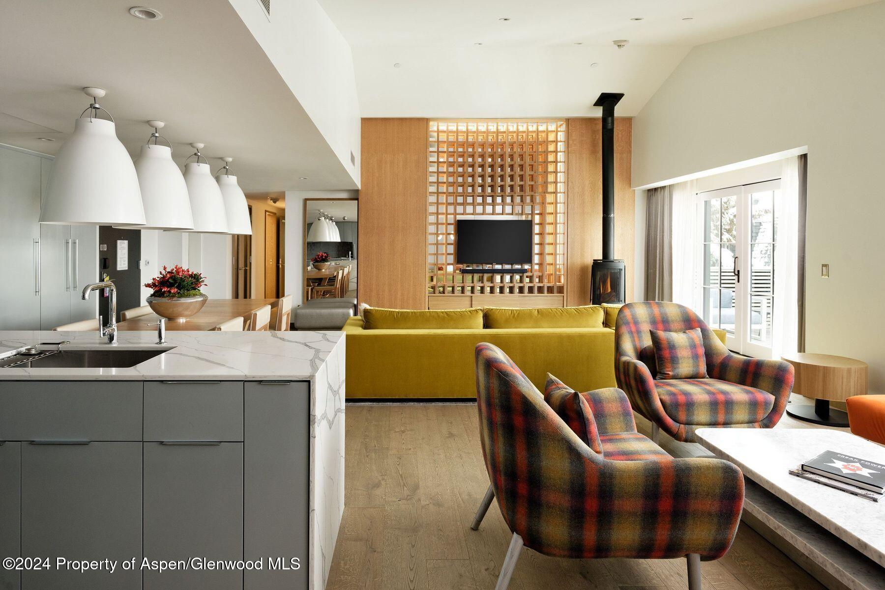 550 South Spring Street Aspen, CO 81611 - Photo 9 of 20 a living room with furniture and a large window