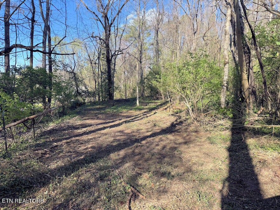 1830 Rhea Road Knoxville, TN 37920 - Photo 3 of 11 entry