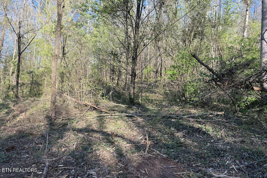 1830 Rhea Road Knoxville, TN 37920 - Photo 6 of 11 rhea2