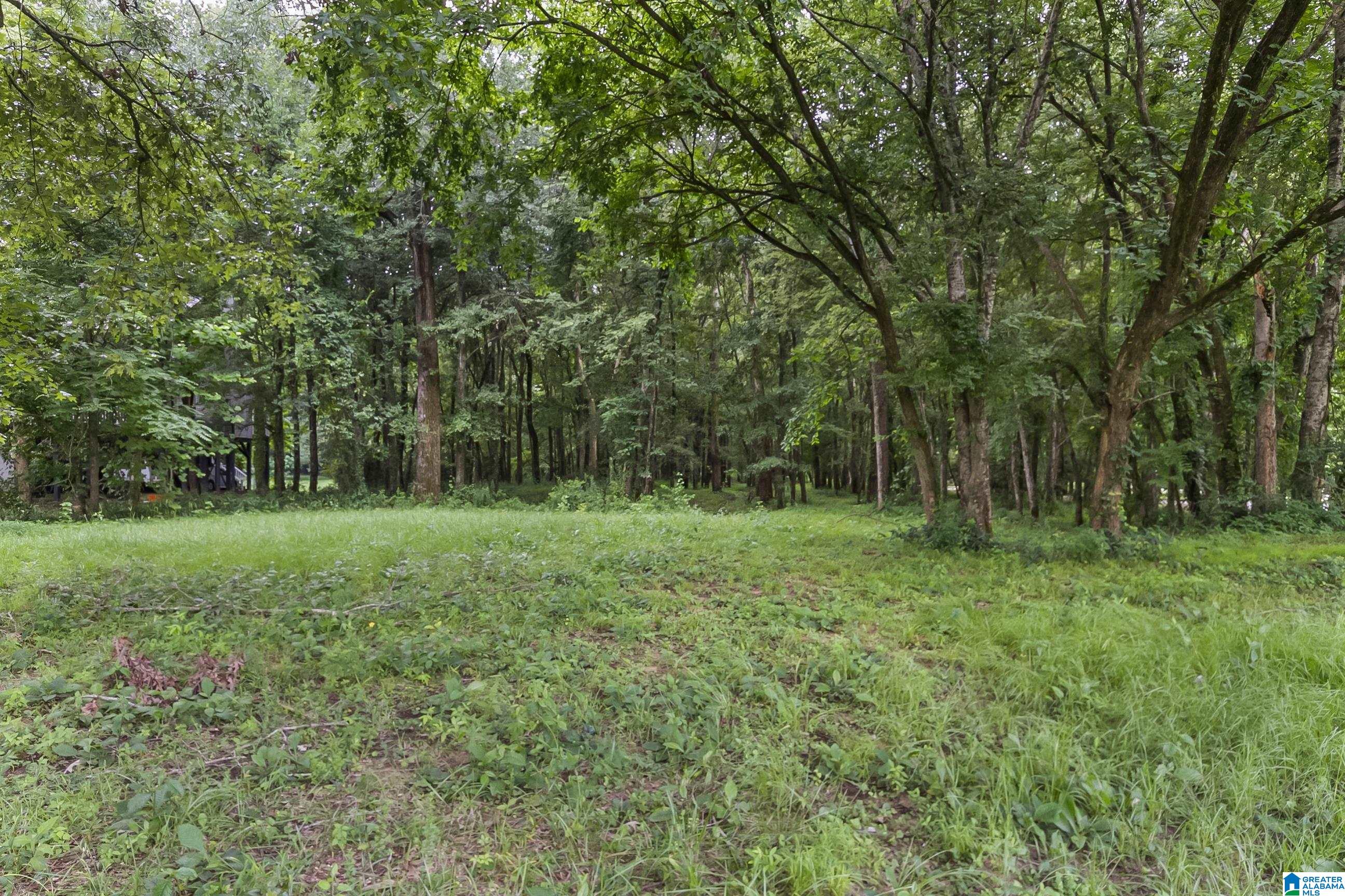 13615 Riverbend Road Moundville, AL 35474 - Photo 16 of 33