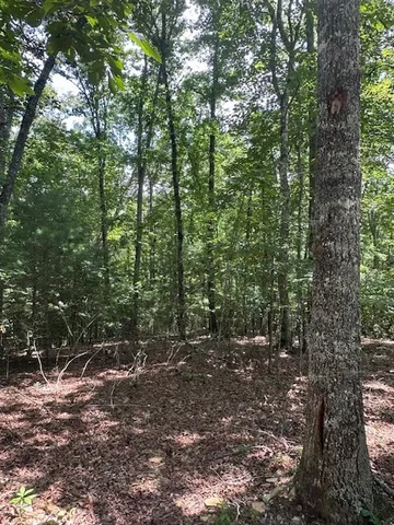 a view of outdoor space and trees