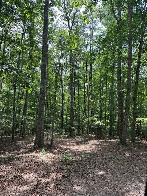 Lot 208 Boulder Creek Road Murphy, NC 28906 - Photo 4 of 4 a backyard of a house with lots of green space