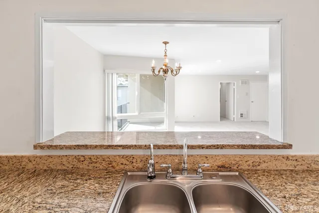 a park with large trees