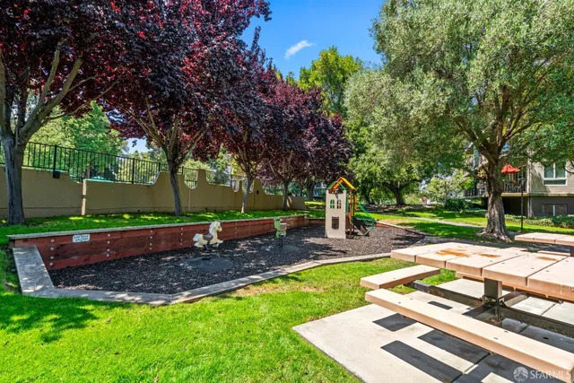 a view of a park with large trees
