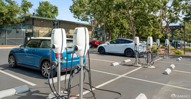 a view of a room with wooden floor and potted plants