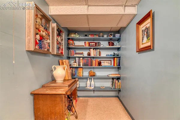 a room with furniture and book shelf