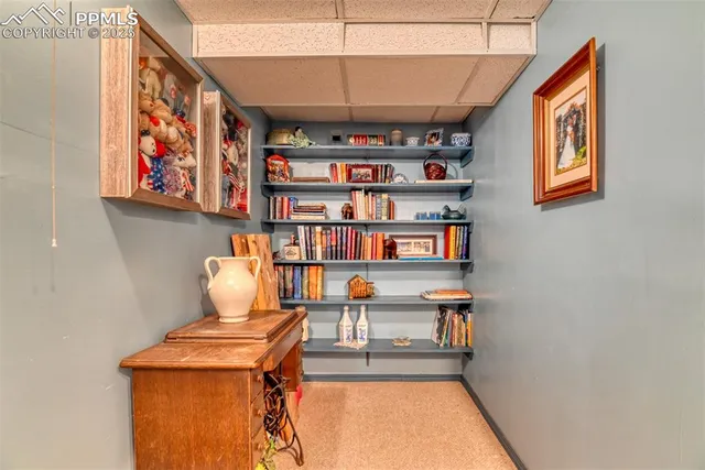 a room with furniture and book shelf