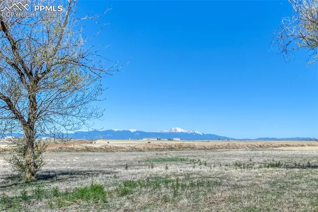 a view of beach and ocean