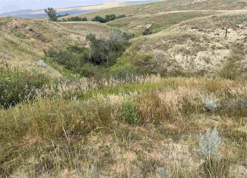 10 Highview Court Buffalo, WY 82834 - Photo 4 of 7 20234275-3