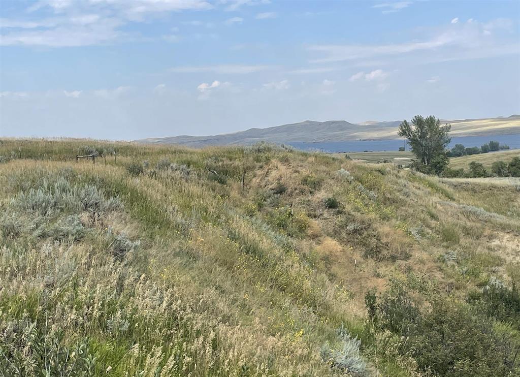 10 Highview Court Buffalo, WY 82834 - Photo 6 of 7 20234275-5