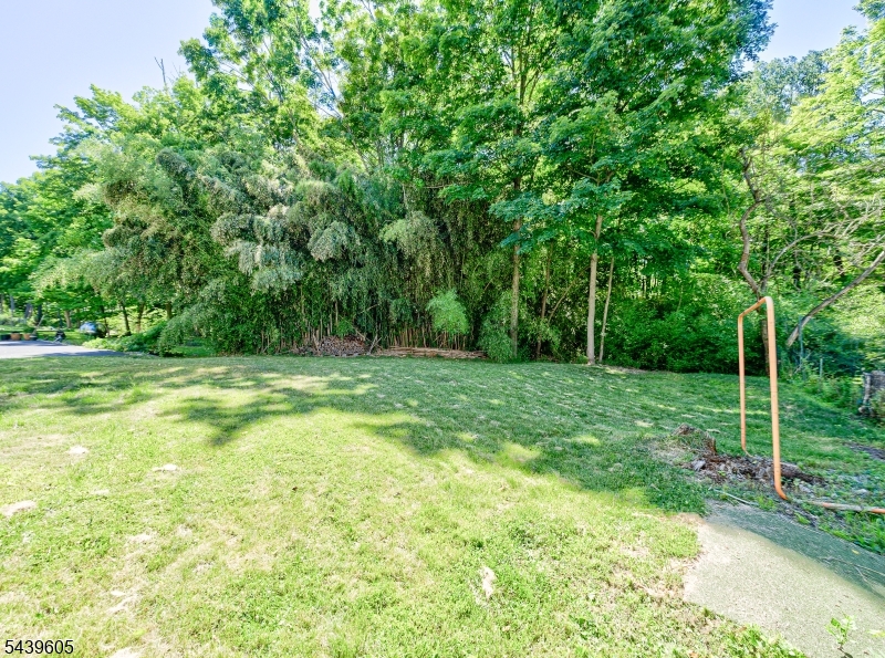 205 Main Road Montville, NJ 07045 - Photo 25 of 28