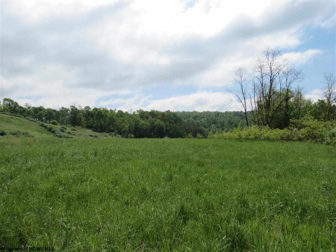 Mill Street Albright, WV 26519 - Photo 12 of 19 Gallery Image 12
