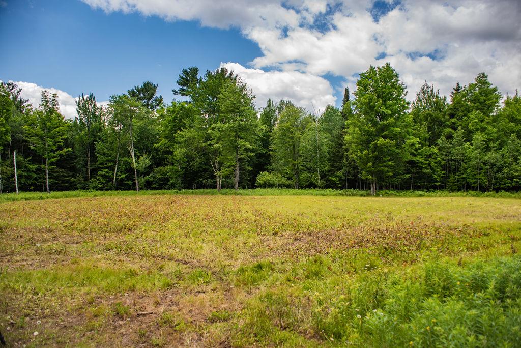Off Bluebell Road Deerbrook, WI 54424 - Photo 7 of 15 Gallery Image 7