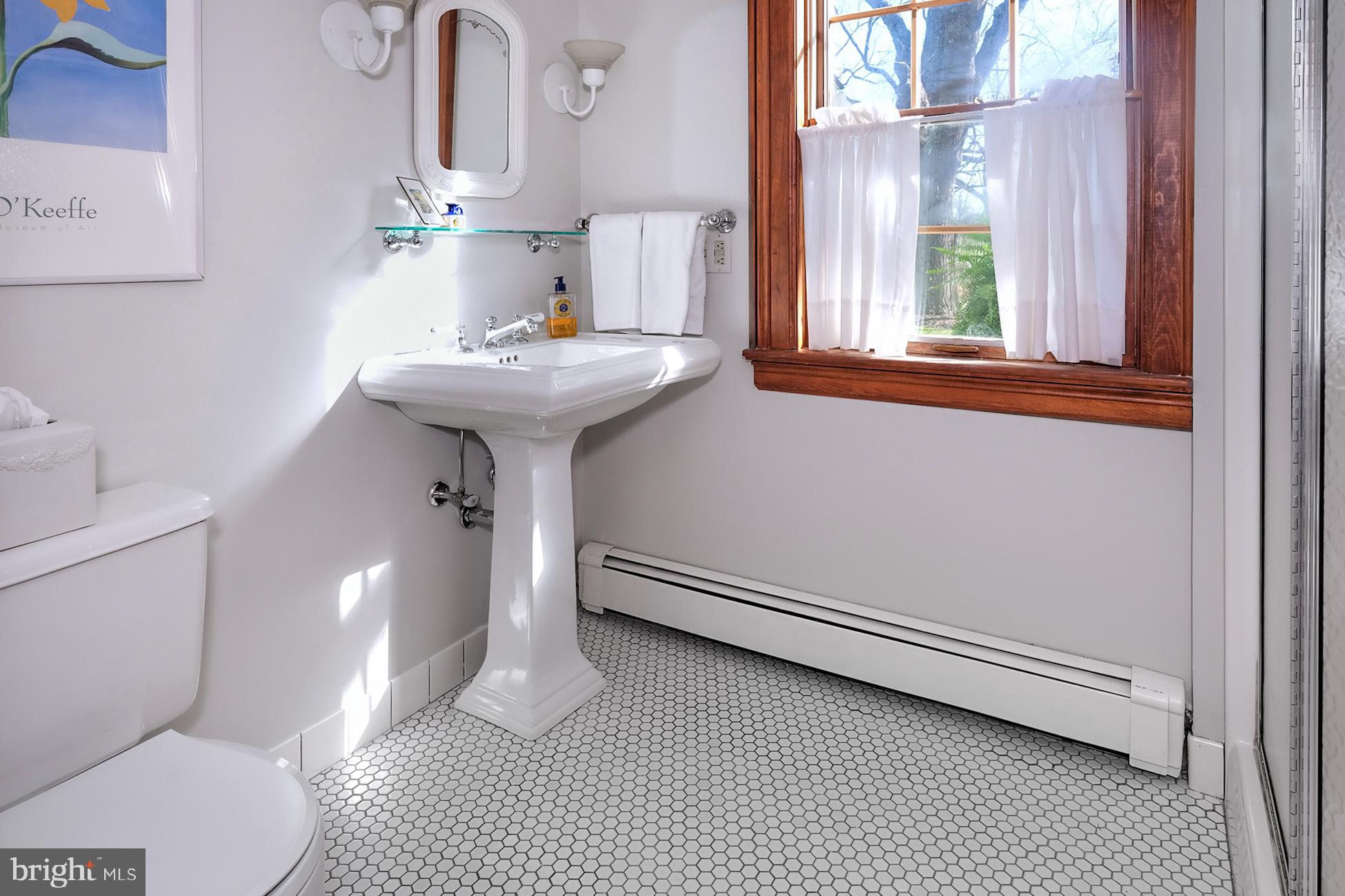 1094 Barley Sheaf Road Flemington, NJ 08822 - Photo 24 of 39
