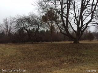 0 Tallulah Road Pinckney, MI 48169 - Photo 4 of 4