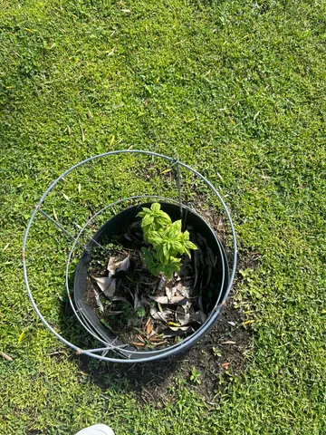 $2,300 | 1592 Southeast Burning Court, Port St. Lucie, FL 34952