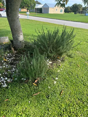 $2,300 | 1592 Southeast Burning Court, Port St. Lucie, FL 34952