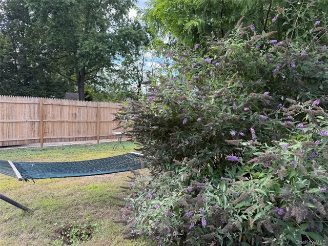a view of a backyard with plants