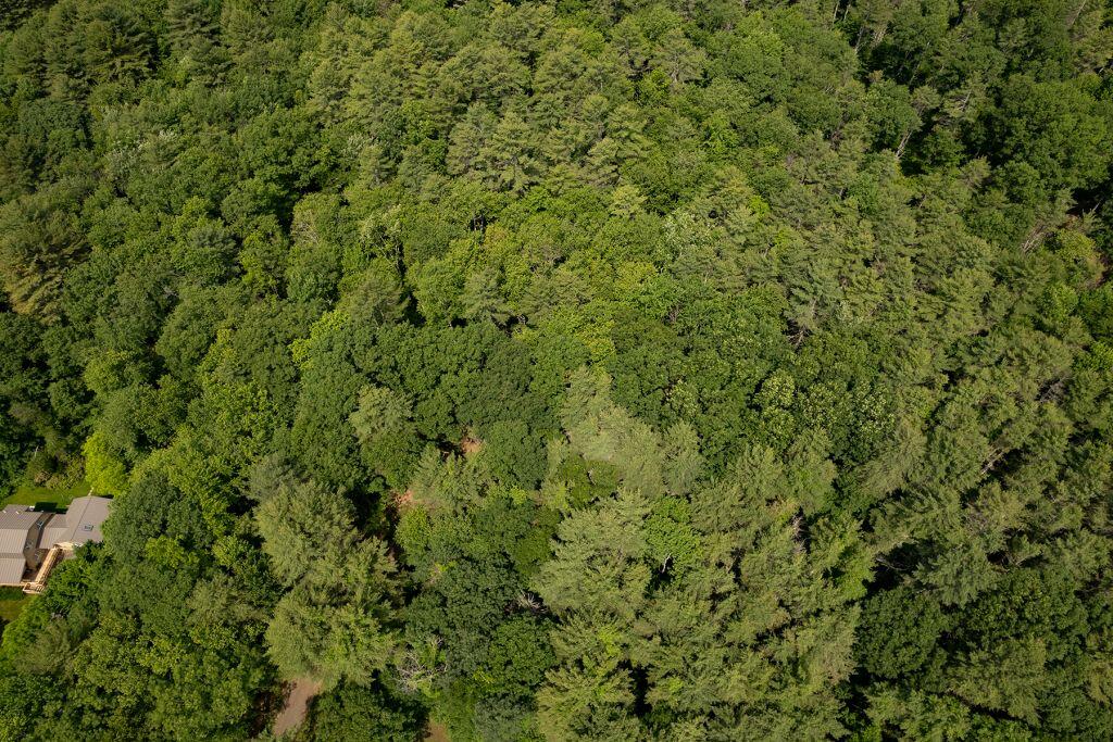 2 Lils Alley York, ME 03909 - Photo 12 of 15 image005