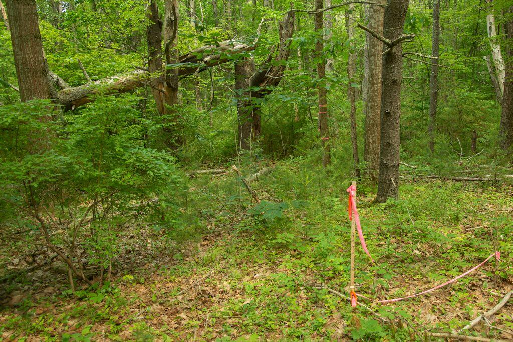 2 Lils Alley York, ME 03909 - Photo 14 of 16 image007