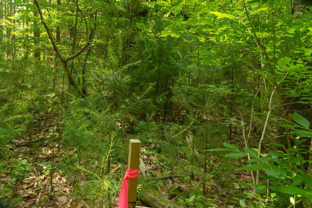 2 Lils Alley York, ME 03909 - Photo 15 of 15 image009