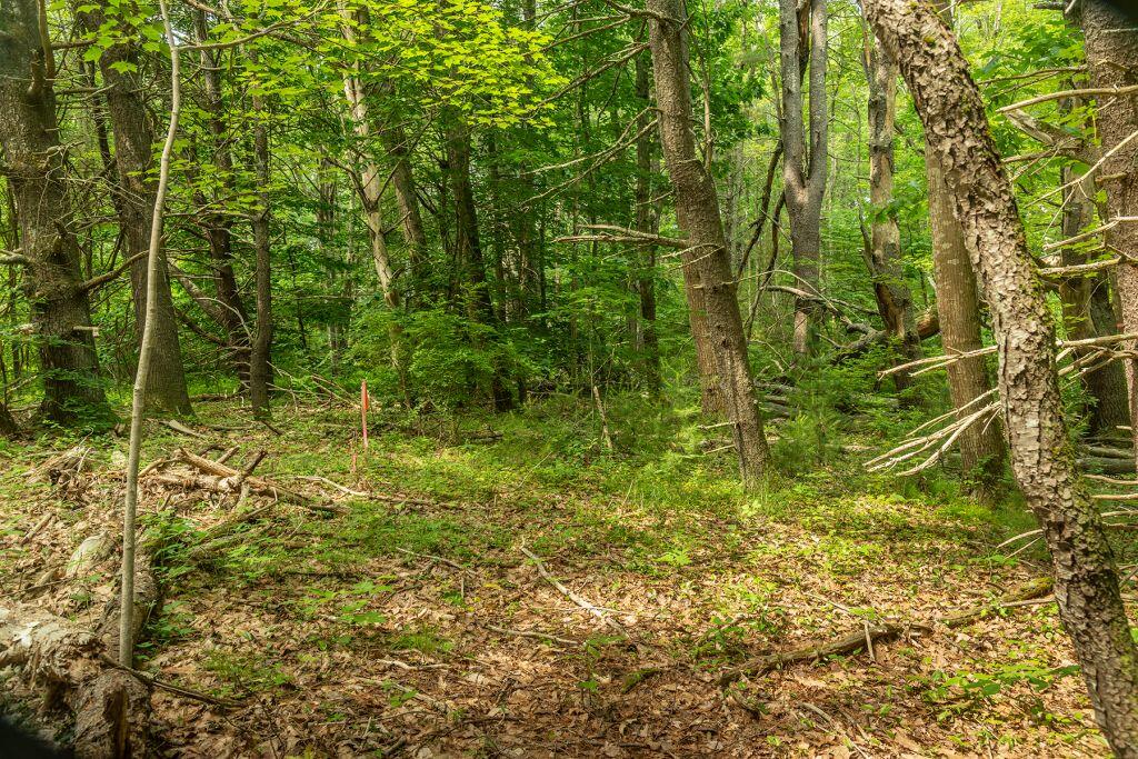 2 Lils Alley York, ME 03909 - Photo 15 of 16 image008