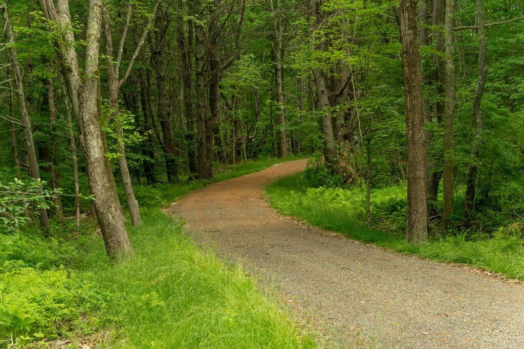 2 Lils Alley York, ME 03909 - Photo 7 of 15 image006