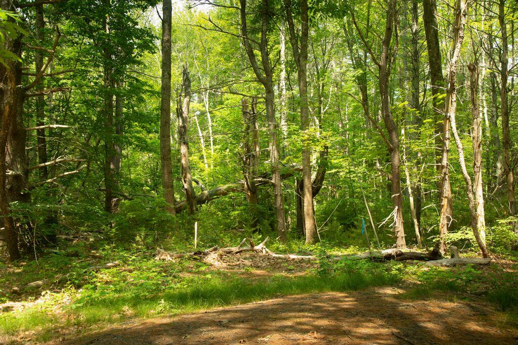 2 Lils Alley York, ME 03909 - Photo 10 of 16 image002