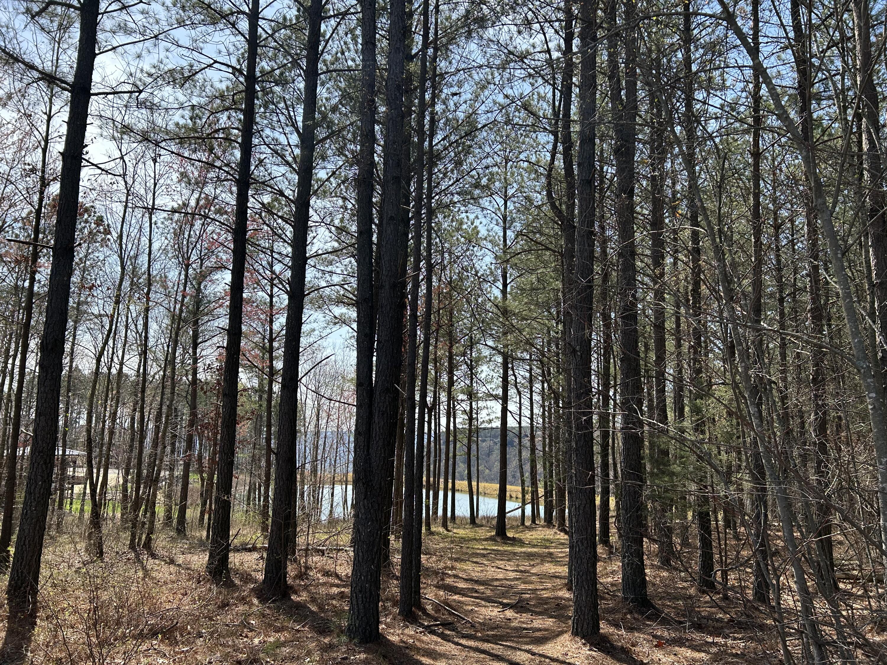 4093 Raulston Fls Road, Unit 27 AS Jasper, TN 37347 - Photo 2 of 49 IMG_8690