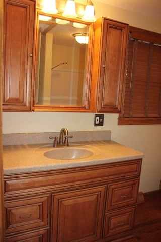 11830 Nelson Road Morrison, IL 61270 - Photo 12 of 15 a bathroom with a sink and a mirror