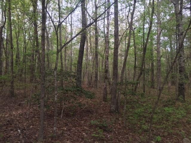 24 Woods Road Dunlap, TN 37327 - Photo 1 of 10 Gallery Image 1