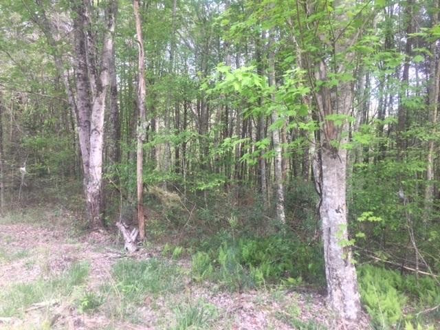 24 Woods Road Dunlap, TN 37327 - Photo 2 of 10 Gallery Image 2