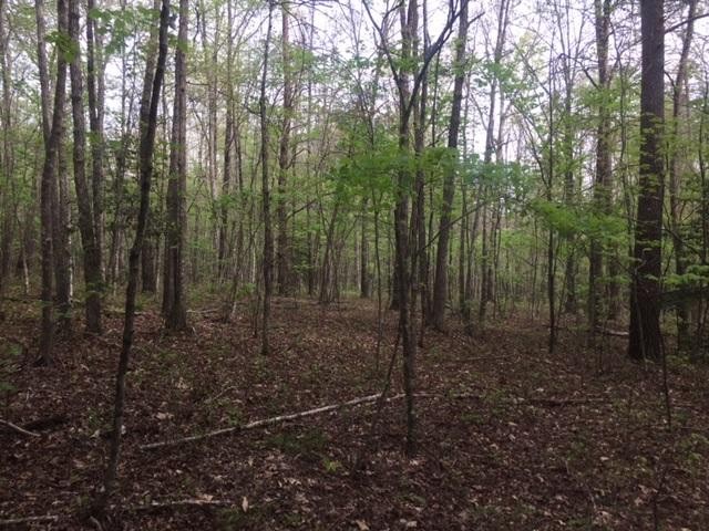 24 Woods Road Dunlap, TN 37327 - Photo 5 of 10 Gallery Image 5
